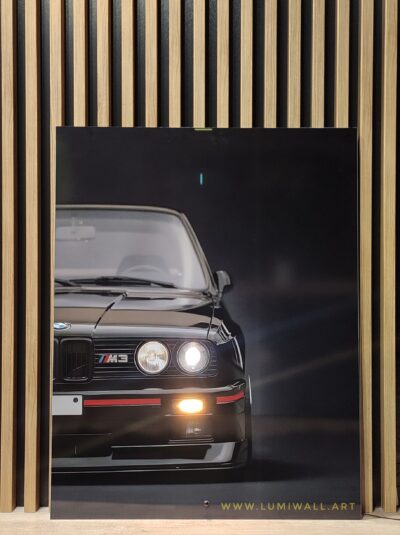BMW E30 (a54)